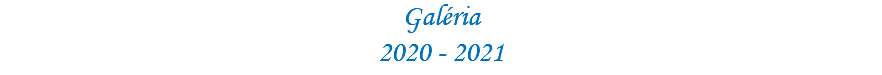 Galéria 2020 - 2021